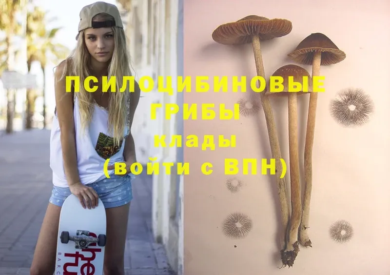 Псилоцибиновые грибы MAGIC MUSHROOMS  Прохладный 